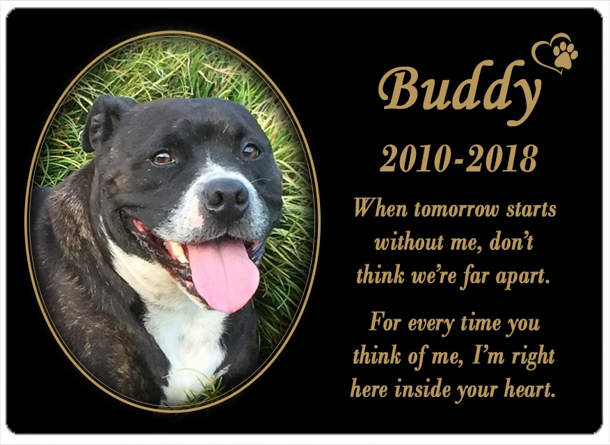Buddy (VIC) 04.09.2018