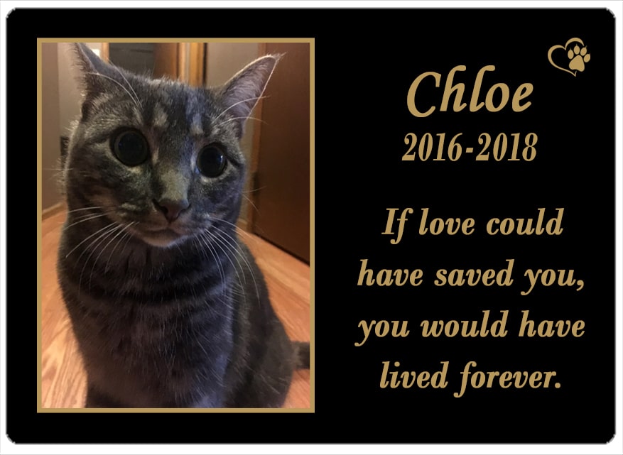Chloe (Canada) 26.08.2018