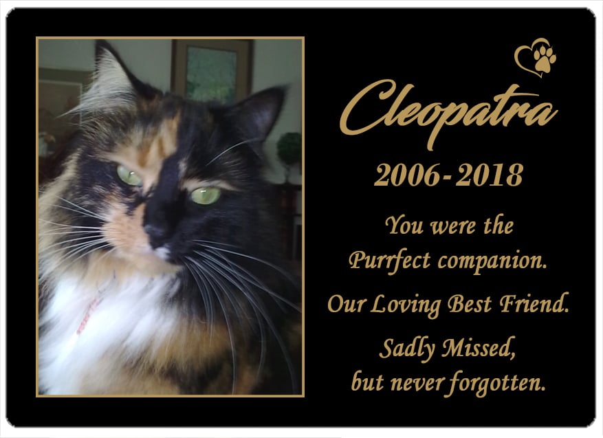 Cleopatra (SA) 24.06.2018