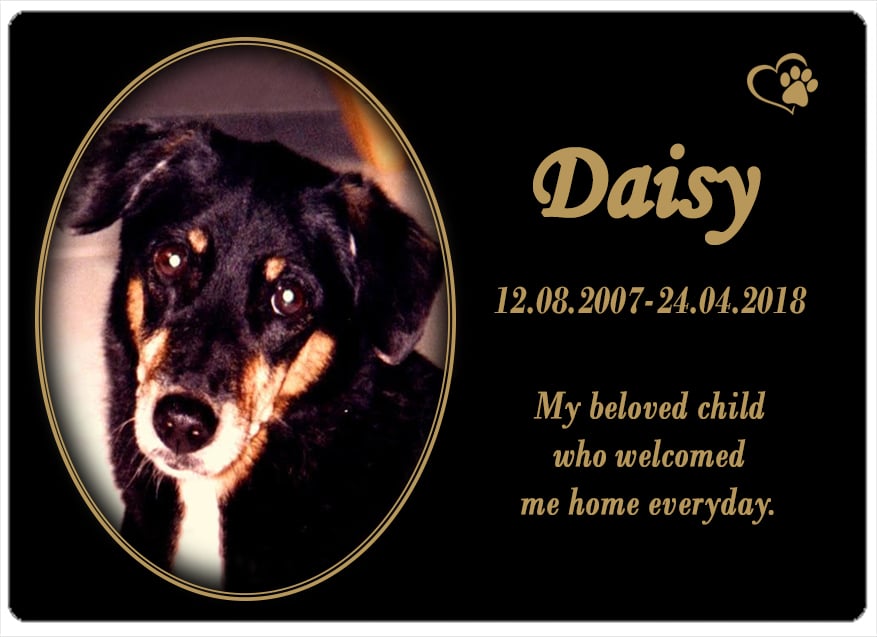 Daisy (QLD) 02.05.2018