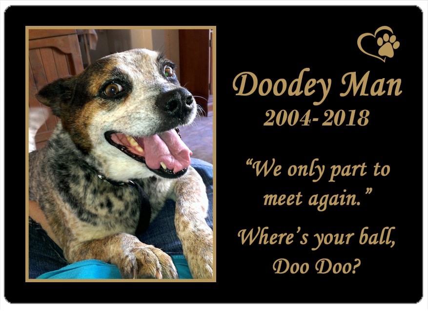 Doodey Man (QLD) 18.07.2018