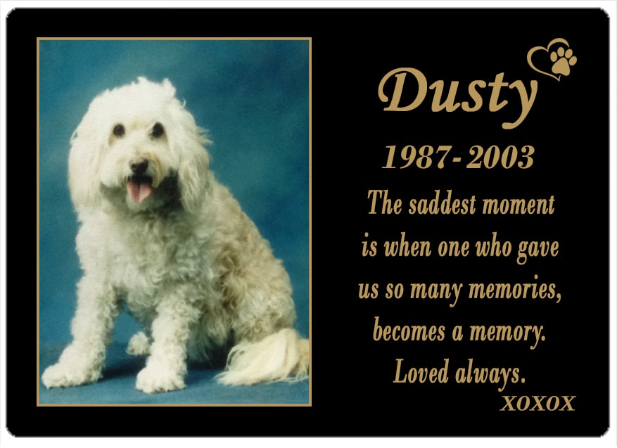 Dusty (VIC) 11.07.2018