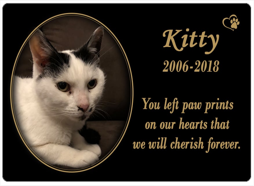 Kitty (WA) 10.08.2018