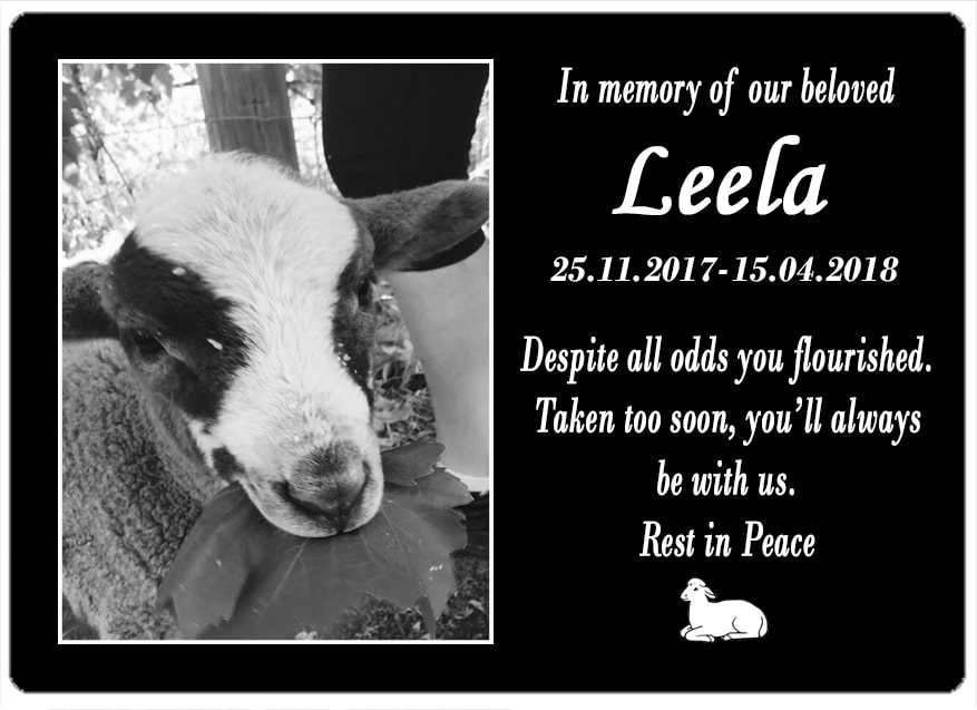 Leela (WA) 18.05.2018