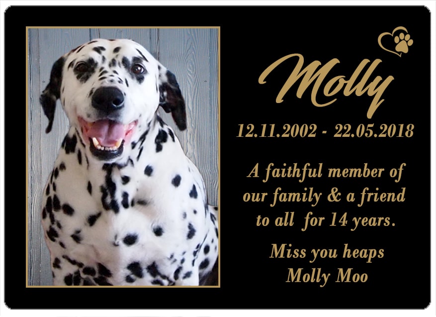 Molly (SA) 22.05.2018