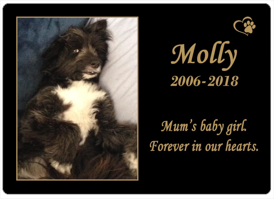 Molly (TAS) 08.05.2018