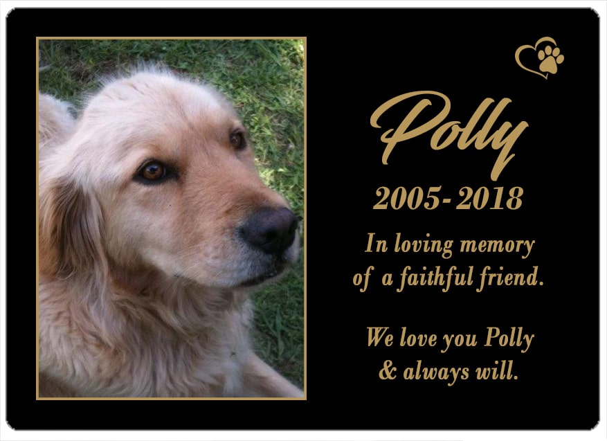 Polly (VIC) 09.05.2018