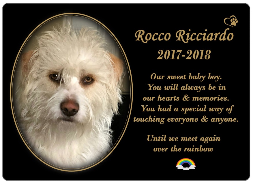 Rocco (SA) 15.09.2018