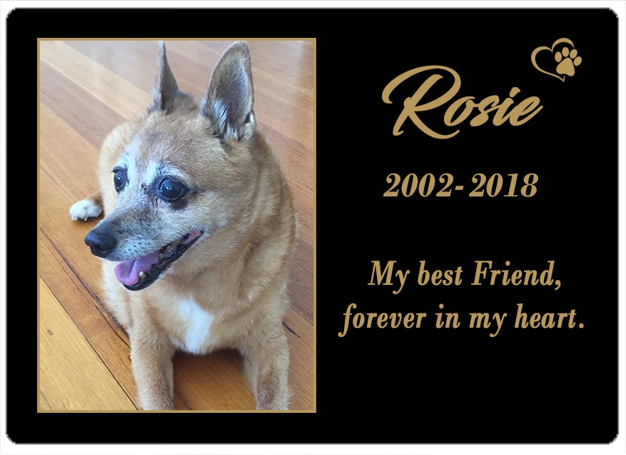 Rosie (VIC) 20.05.2018