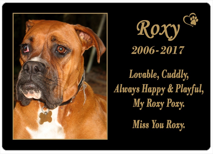 Roxy (NSW) 06.06.2018