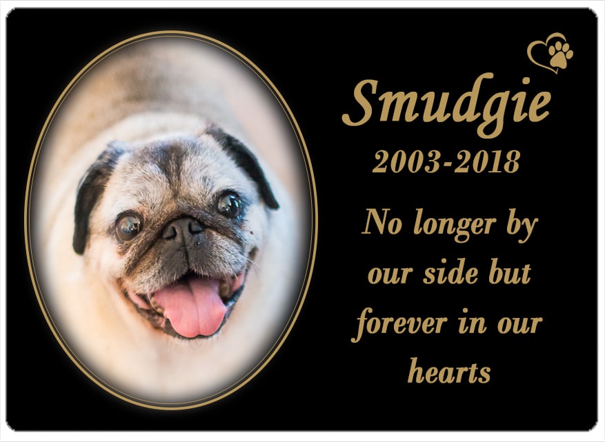 Smudgie (SA) 05.09.2018