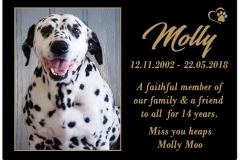 Molly (SA) 22.05.2018