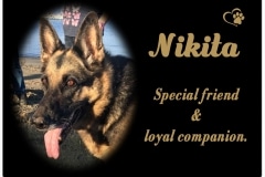 Nikita (VIC) 27.04.2018