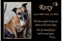 Roxy (VIC) 06.06.2018