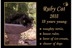 Ruby (NT) 14.08.2018
