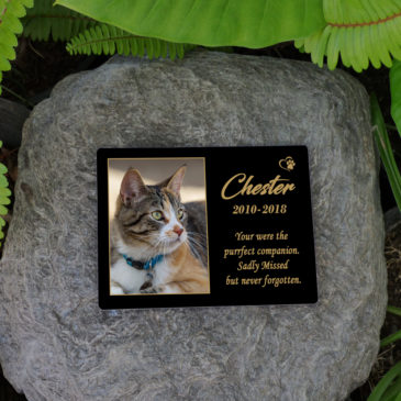 Cat Memorial Garden Plaque 5″x7″. Personalised. UV Resistant