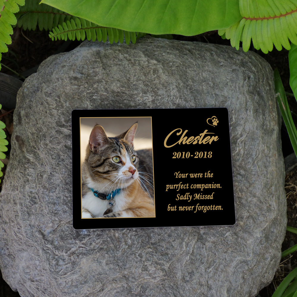 cat memorial