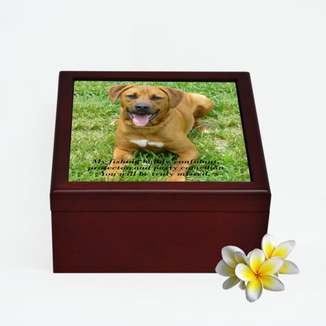 Personalised Pet Memorial Ashes Box-Large-No Name Plate