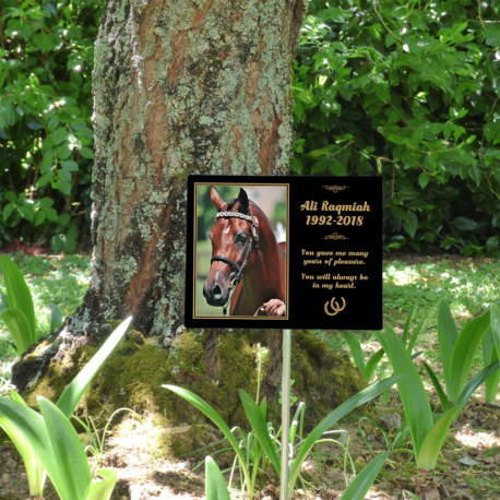 SPP Creations 8×10 Memorial Plaque with Stake – Horse