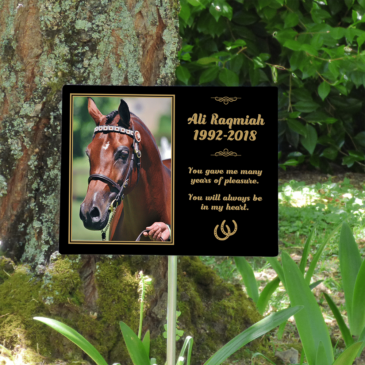 8″x10″ Large Outdoor Memorial Plaque With Stainless Steel Display Mount & Stake