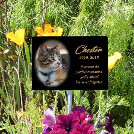 SPP Creations – Memorial Plaque with Stake – Cat