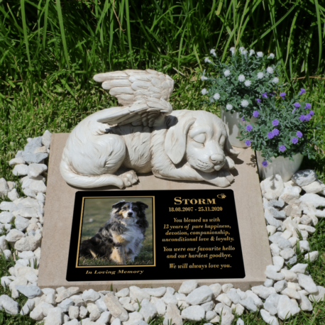 SPP Creations 8×10 Angel Dog Memorial Plaque
