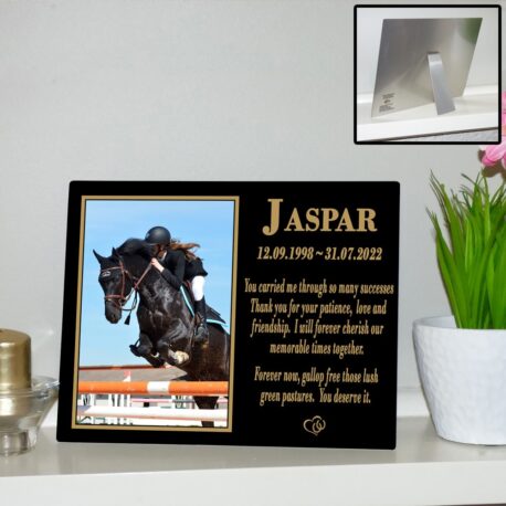 8″x10″ Plaque (Insert: Display Easel View)