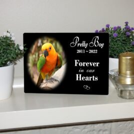 5″x7″ Indoor Memorial Plaque with Display Easel – Oval Photo Setting
